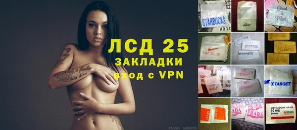мет Алексин