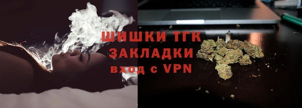 мет Алексин